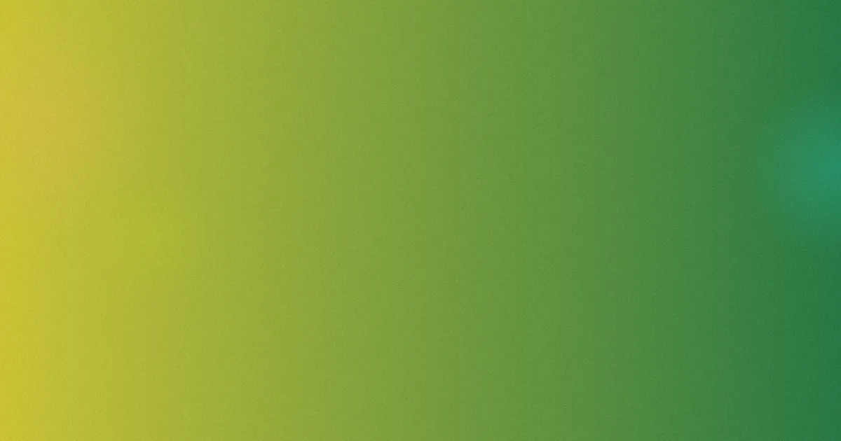 郑杰怎么用：我的核验体验